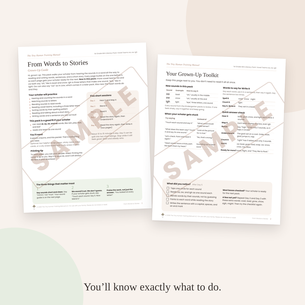 First  Grade Mini Literacy Pack: From Words to Stories (Vowel Teams oa, ow, igh)
