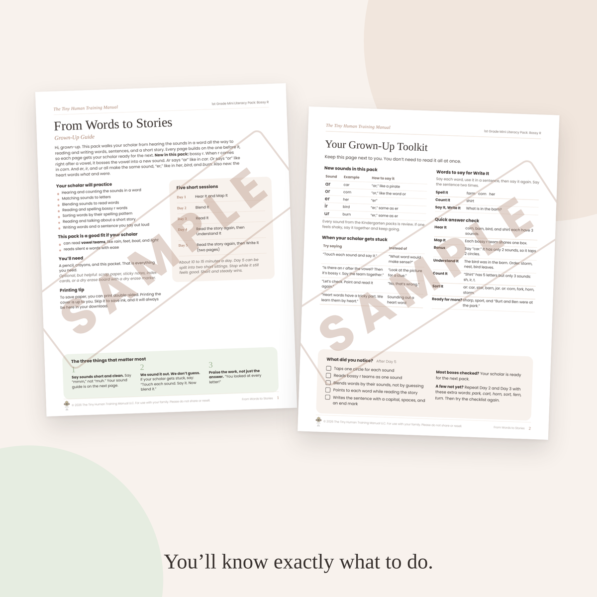 First  Grade Mini Literacy Pack: From Words to Stories (Bossy R)