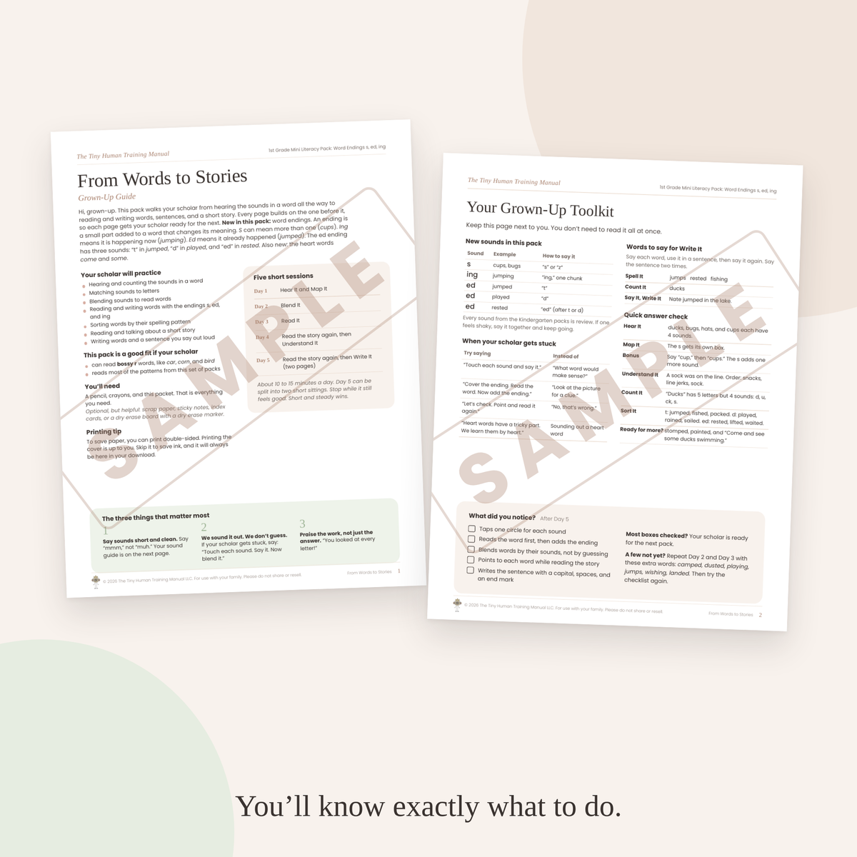 First Grade Mini Literacy Pack: From Words to Stories (Word Endings s, ed, ing)