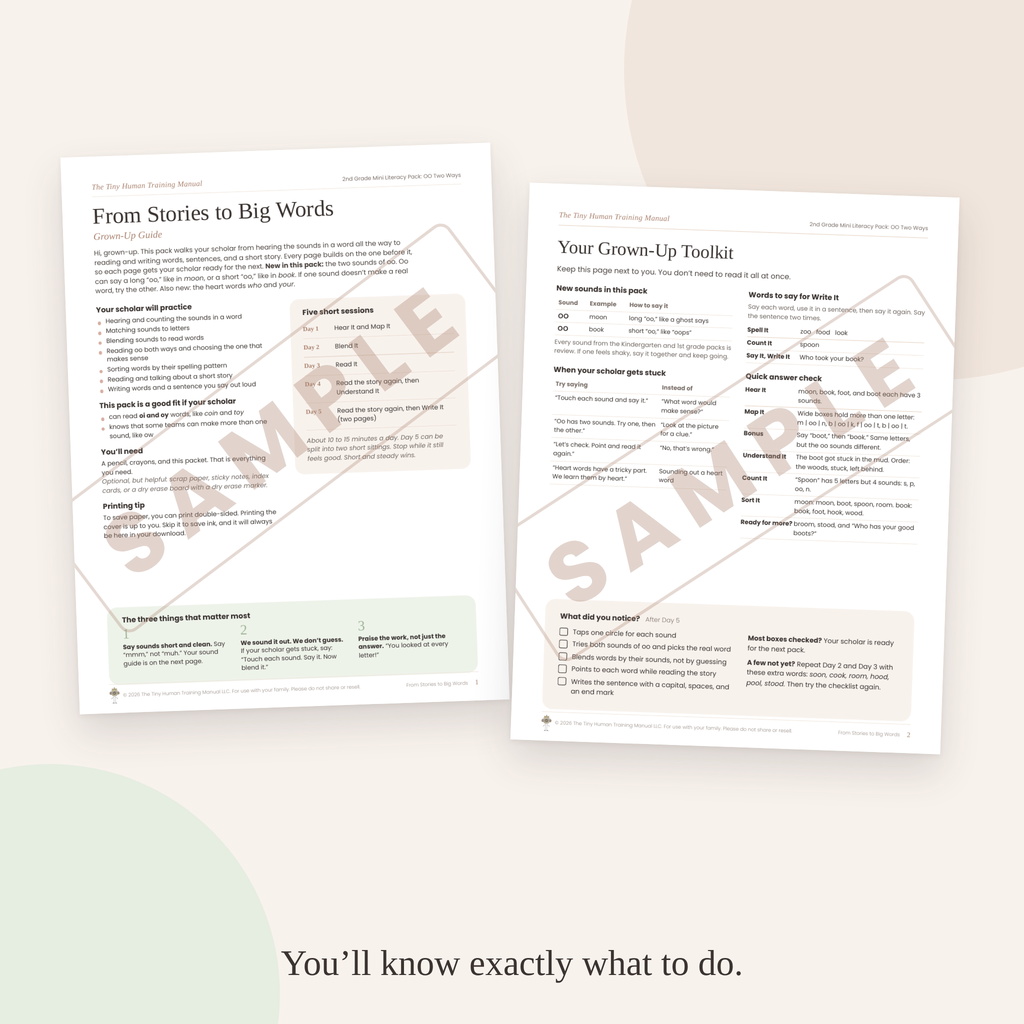 Second Grade Mini Literacy Pack: From Stories to Big Words (OO Two Ways)