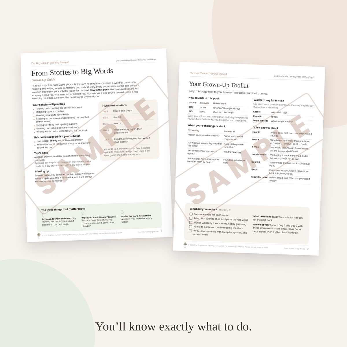 Second Grade Mini Literacy Pack: From Stories to Big Words (OO Two Ways)