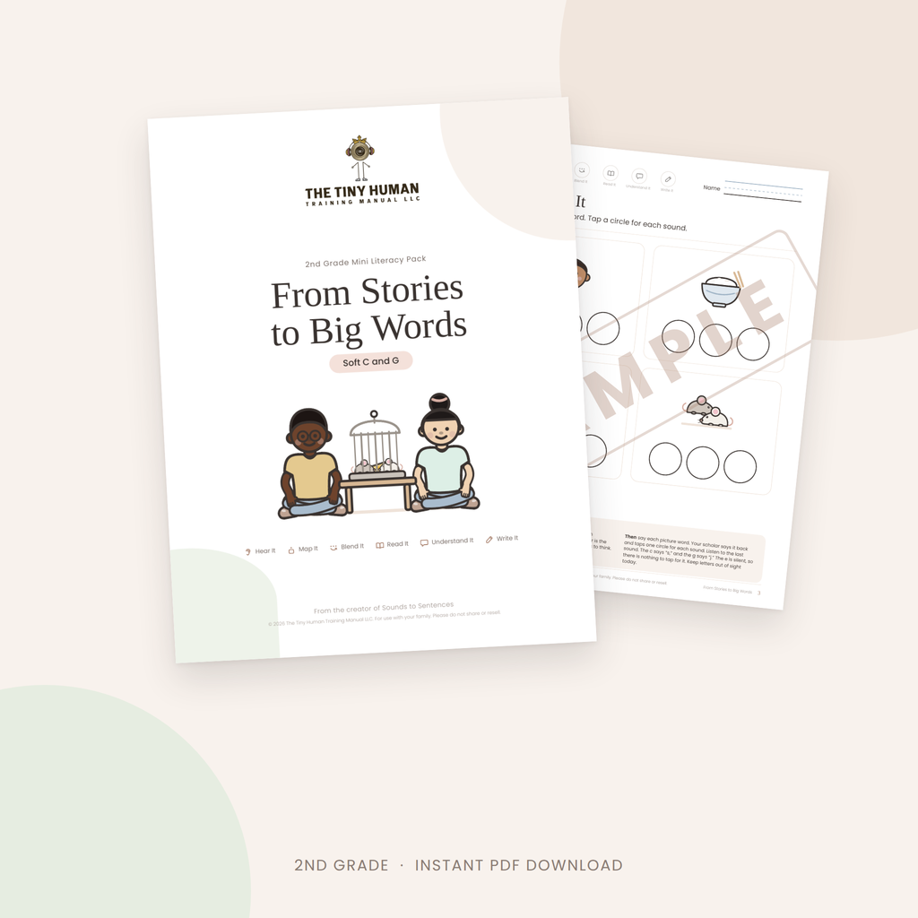 Second Grade Mini Literacy Pack: From Stories to Big Words (Soft C and G)