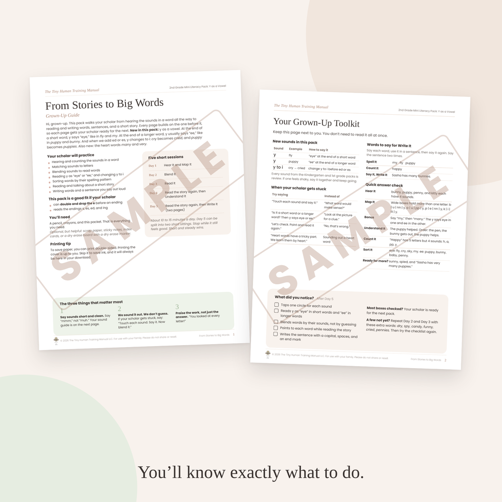 Second Grade Mini Literacy Pack: From Stories to Big Words (Y as a Vowel)