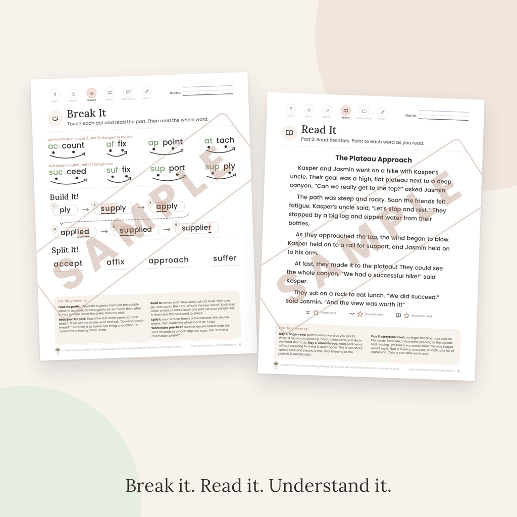 Seventh Grade Mini Literacy Pack: From Word Wisdom to Word Mastery (Chameleon Prefixes: ad and sub)
