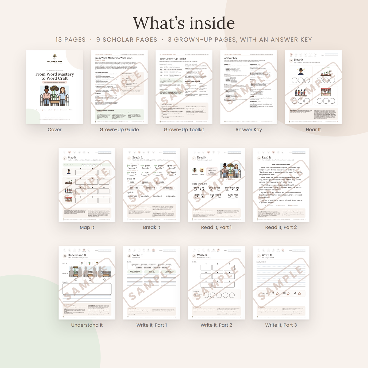 Eighth Grade Mini Literacy Pack: From Word Mastery to Word Craft (Latin Roots: gress, grad, cede, ceed)