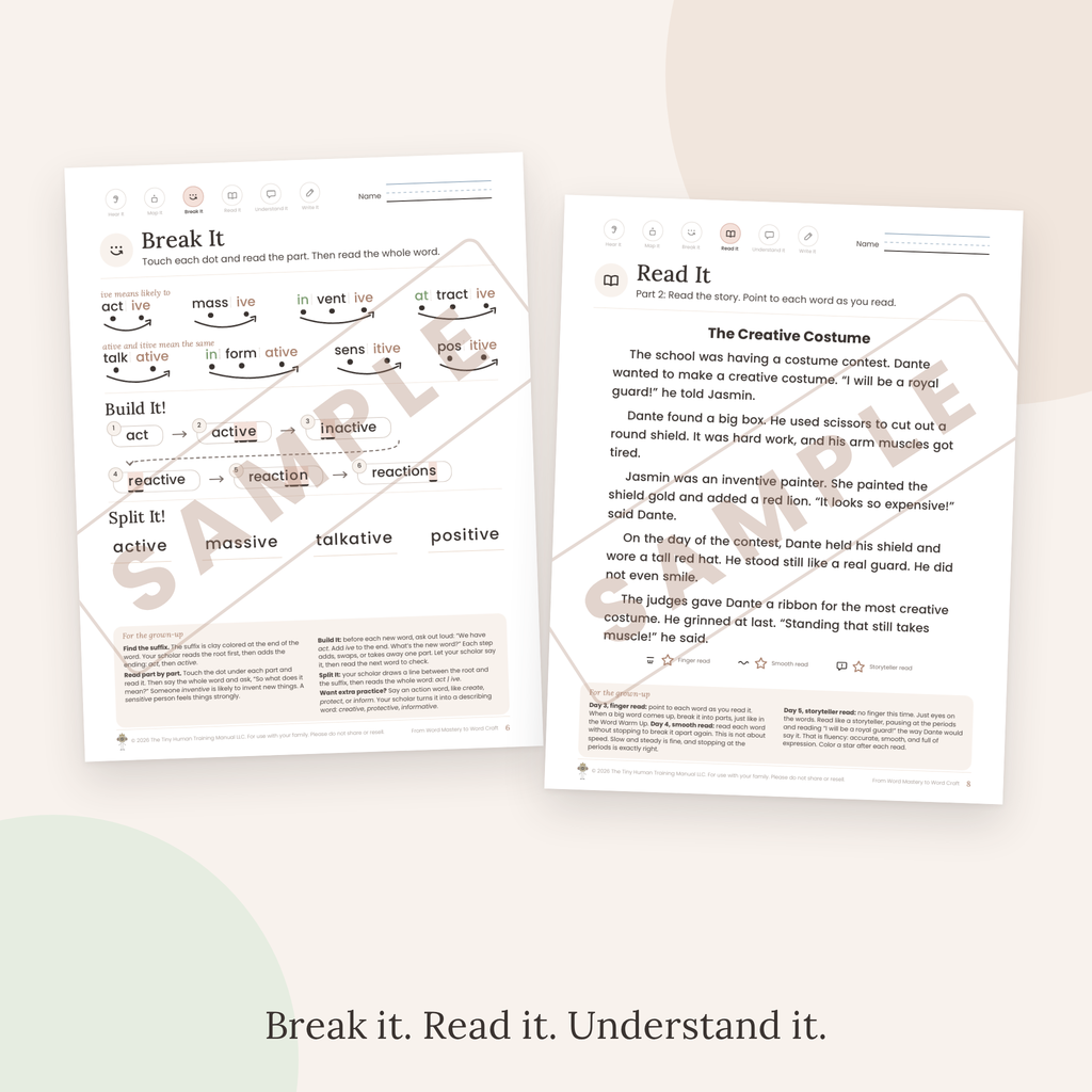 Eighth Grade Mini Literacy Pack: From Word Mastery to Word Craft (Suffixes: ive, ative, itive)