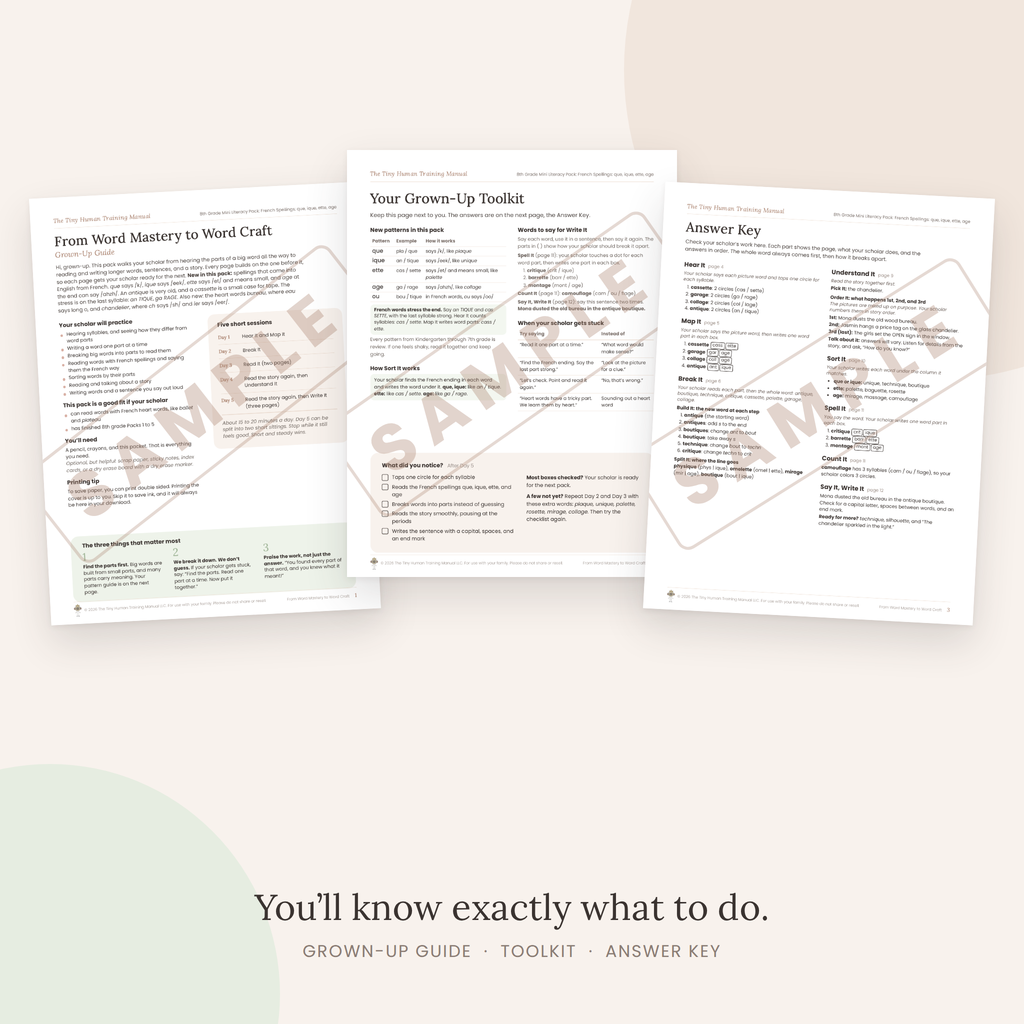 Eighth Grade Mini Literacy Pack: From Word Mastery to Word Craft (French Spellings: que, ique, ette, age)