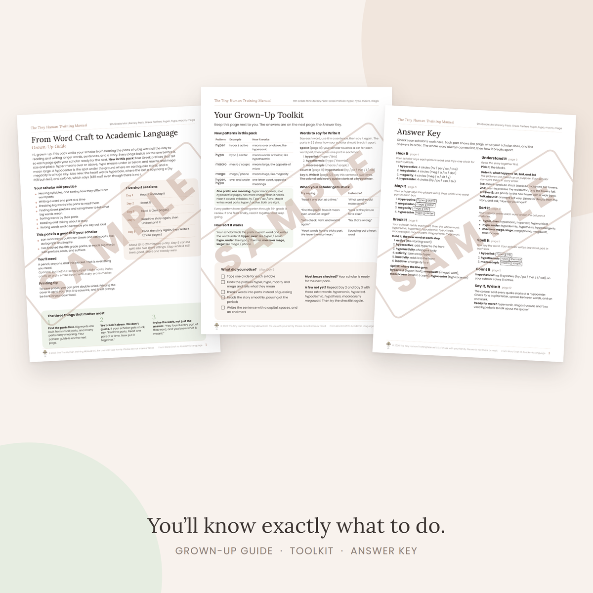 Ninth Grade Mini Literacy Pack: From Word Craft to Academic Language (Greek Prefixes: hyper, hypo, macro, mega)