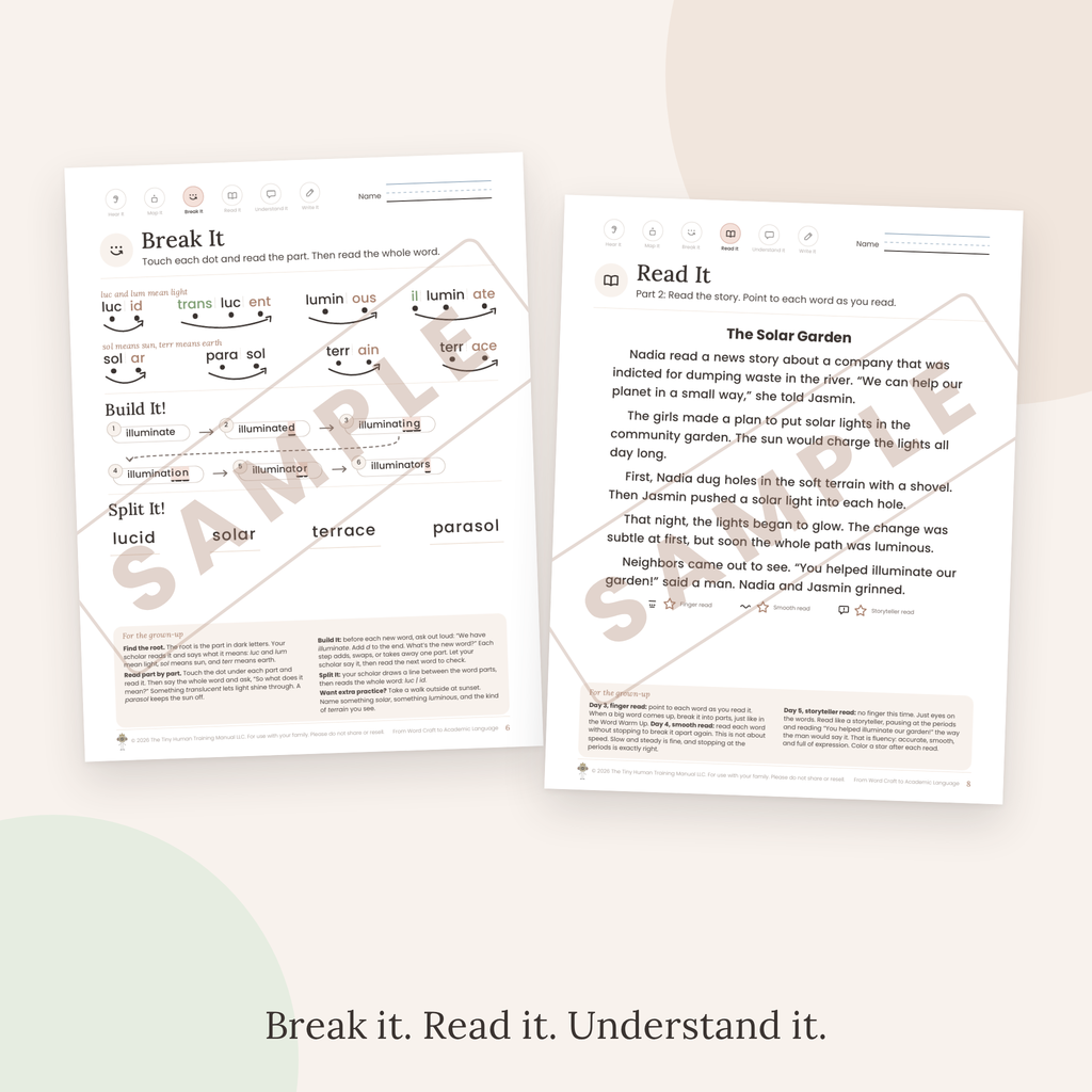 Ninth Grade Mini Literacy Pack: From Word Craft to Academic Language (Latin Roots: luc, lum, sol, terr)