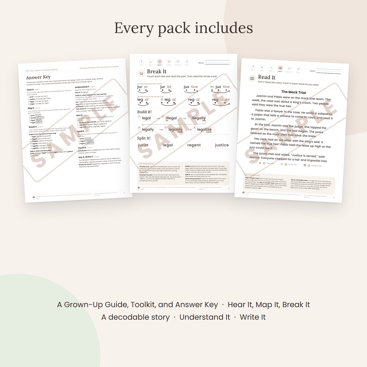 Tenth Grade Mini Literacy Pack: Complete Tenth Grade Bundle (All 8 Packs)