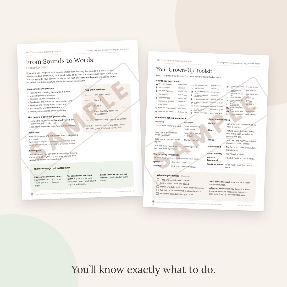 Kindergarten Literacy Pack: From Sounds to Words (Digraphs sh and th)