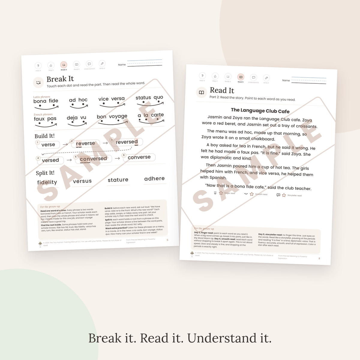 Eleventh Grade Mini Literacy Pack: From Precise Meaning to Powerful Expression (French and Latin Phrases)