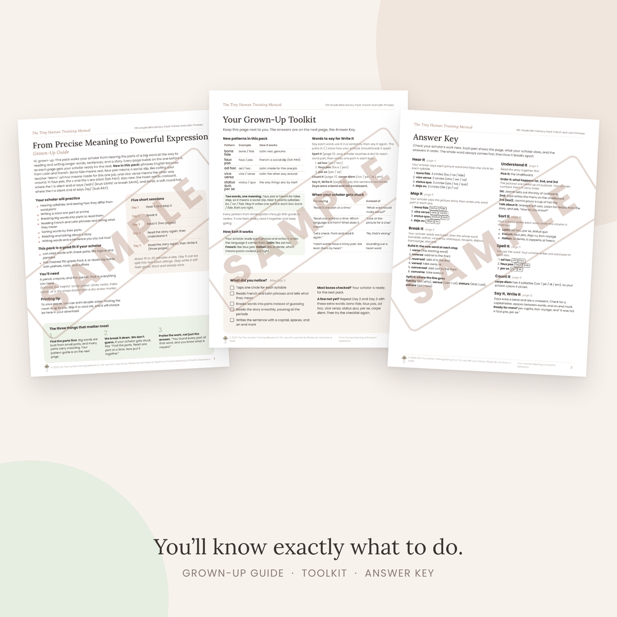 Eleventh Grade Mini Literacy Pack: From Precise Meaning to Powerful Expression (French and Latin Phrases)