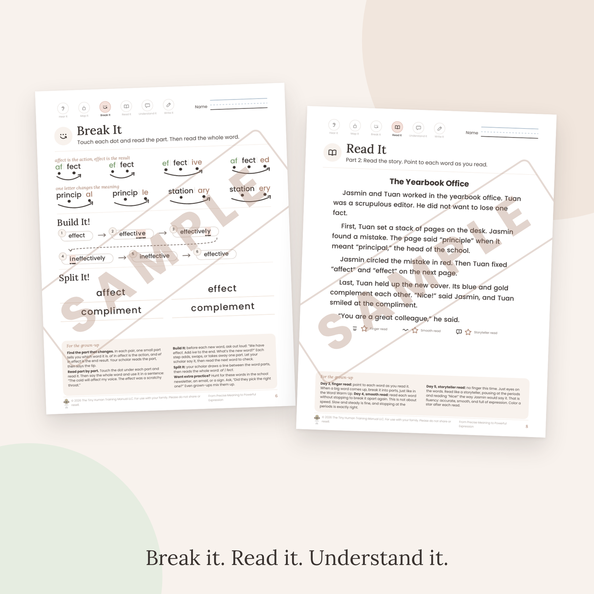 Eleventh Grade Mini Literacy Pack: From Precise Meaning to Powerful Expression (Commonly Confused Words)