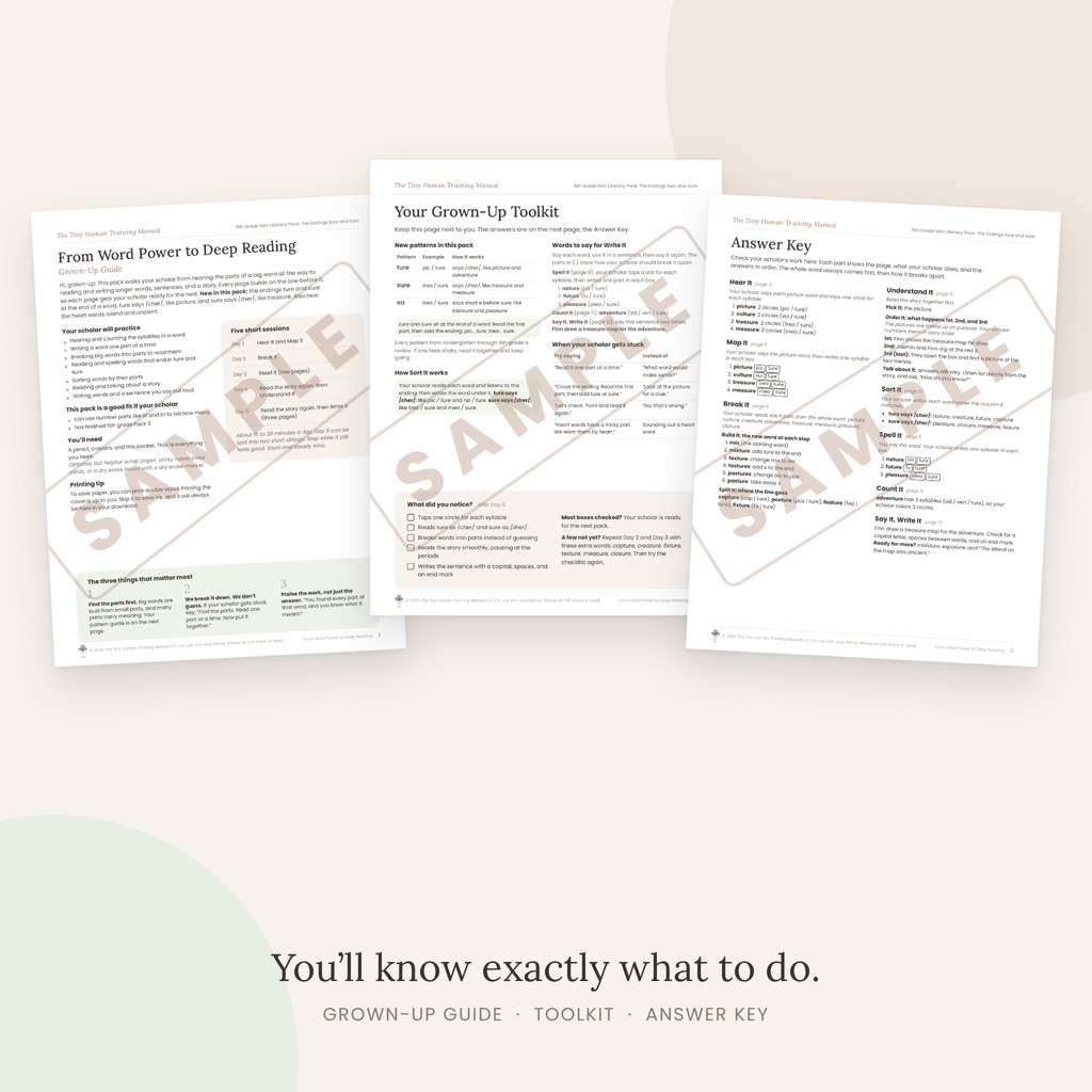 Fifth Grade Mini Literacy Pack: From Word Power to Deep Reading (The Endings ture and sure)