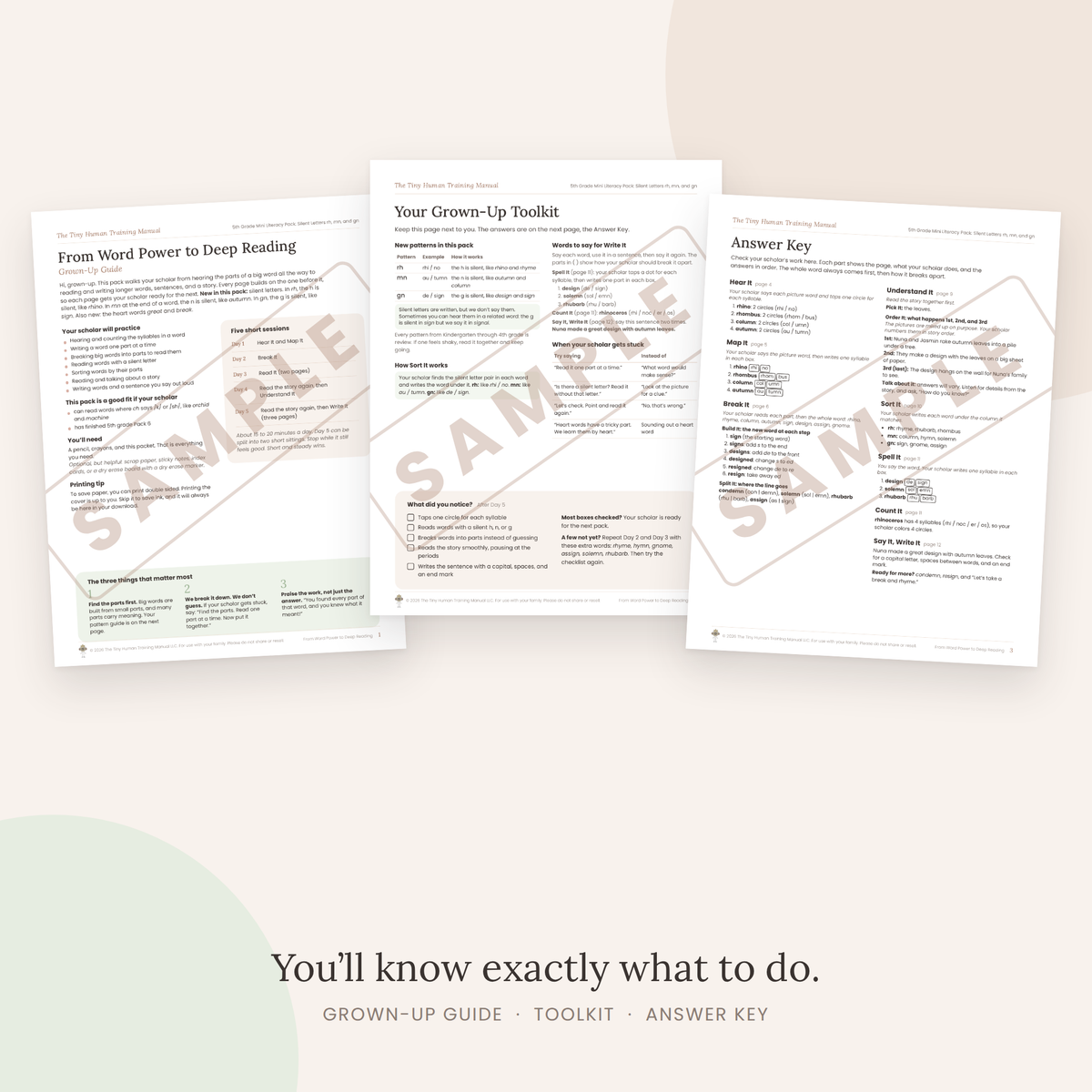 Fifth Grade Mini Literacy Pack: From Word Power to Deep Reading (Silent Letters rh, mn, and gn)
