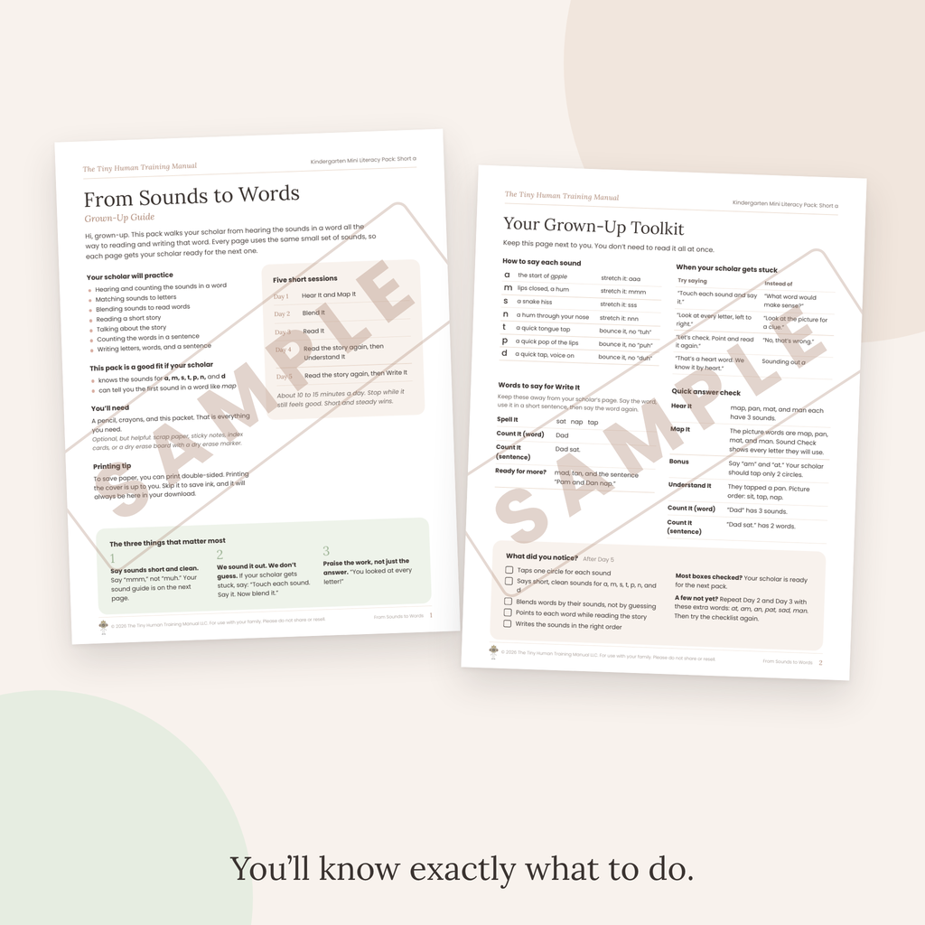 Kindergarten Mini Literacy Pack: From Sounds to Words (Short a)