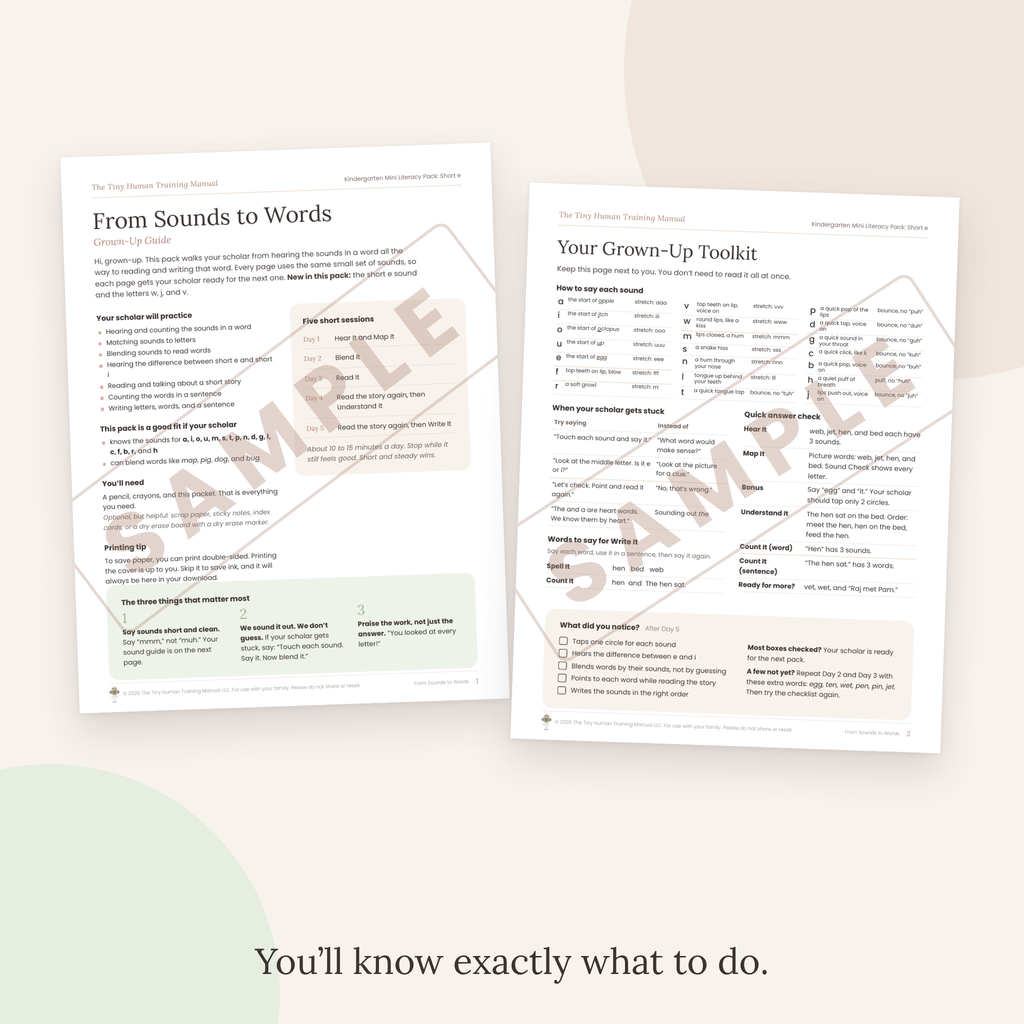 Kindergarten Mini Literacy Pack: From Sounds to Words (Short e)