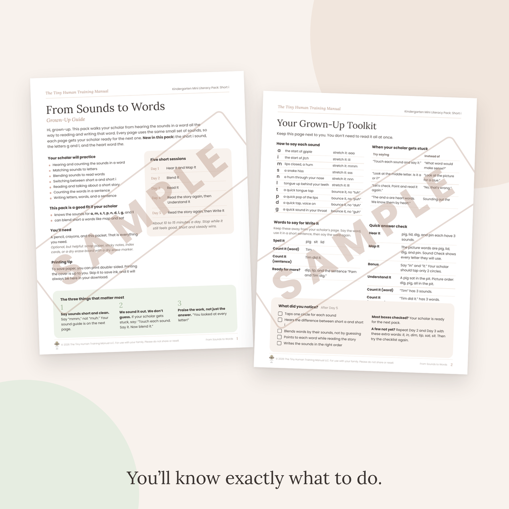 Kindergarten Mini Literacy Pack: From Sounds to Words (Short i)