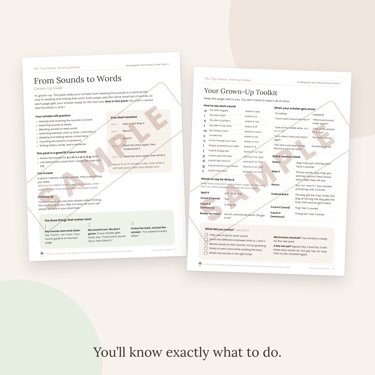 Kindergarten Mini Literacy Pack: From Sounds to Words (Short o)