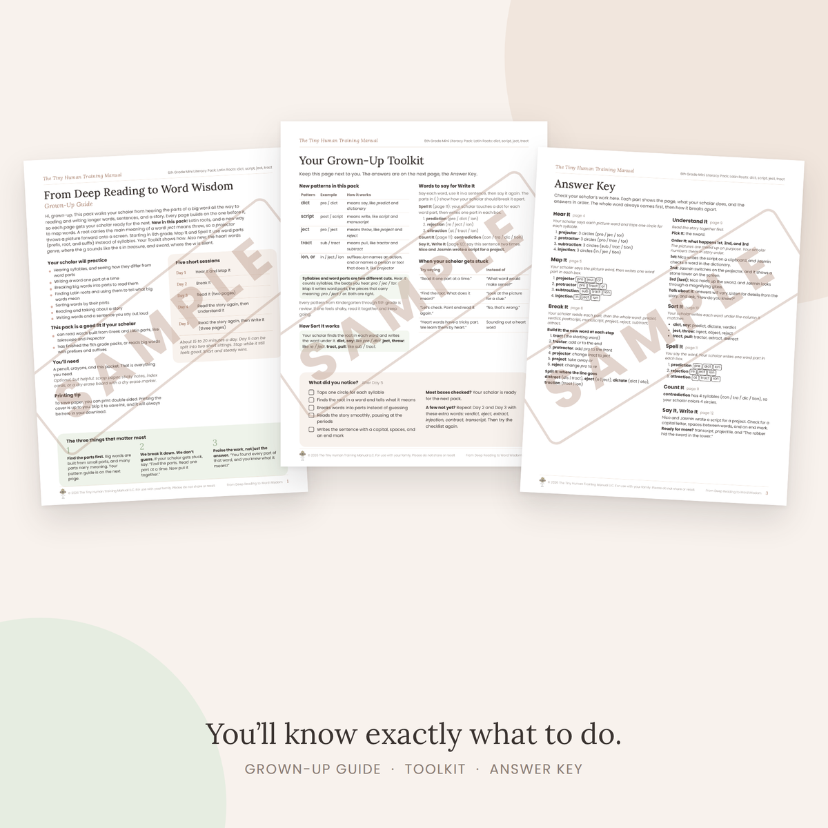 Sixth Grade Mini Literacy Pack: From Deep Reading to Word Wisdom (Latin Roots dict, script, ject, tract)