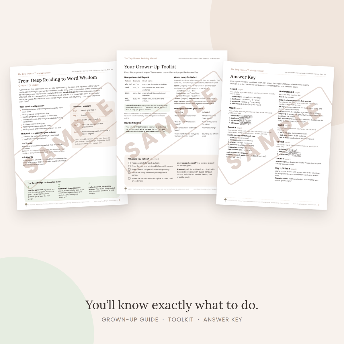 Sixth Grade Mini Literacy Pack: From Deep Reading to Word Wisdom (Latin Roots vis, aud, duct, mit)
