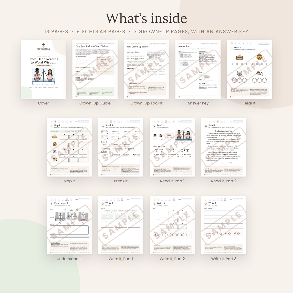 Sixth Grade Mini Literacy Pack: From Deep Reading to Word Wisdom (The Endings cious and tious)
