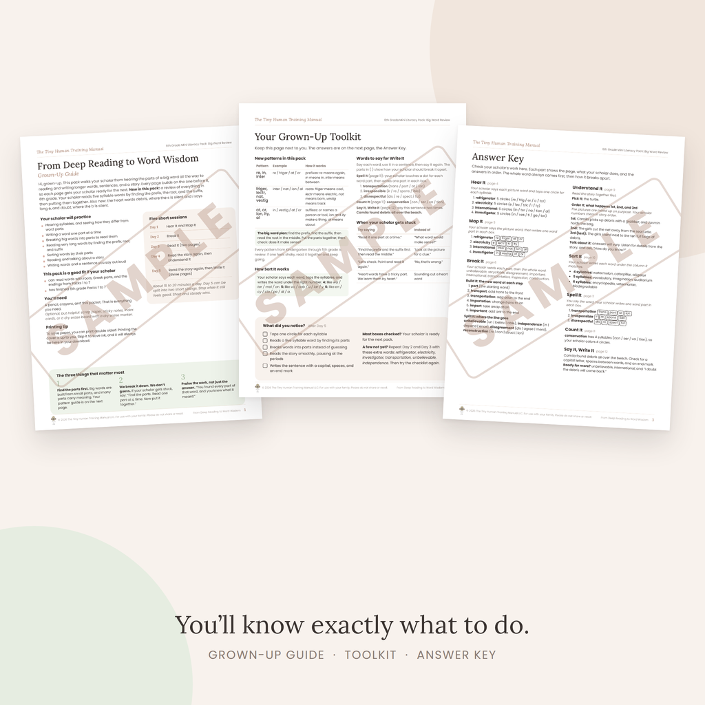 Sixth Grade Mini Literacy Pack: From Deep Reading to Word Wisdom (Big Word Review)