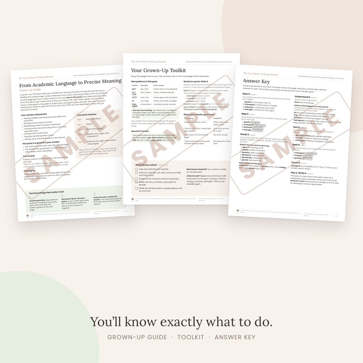 Tenth Grade Mini Literacy Pack: From Academic Language to Precise Meaning (Science Roots: gen, cyt, chlor, zo)