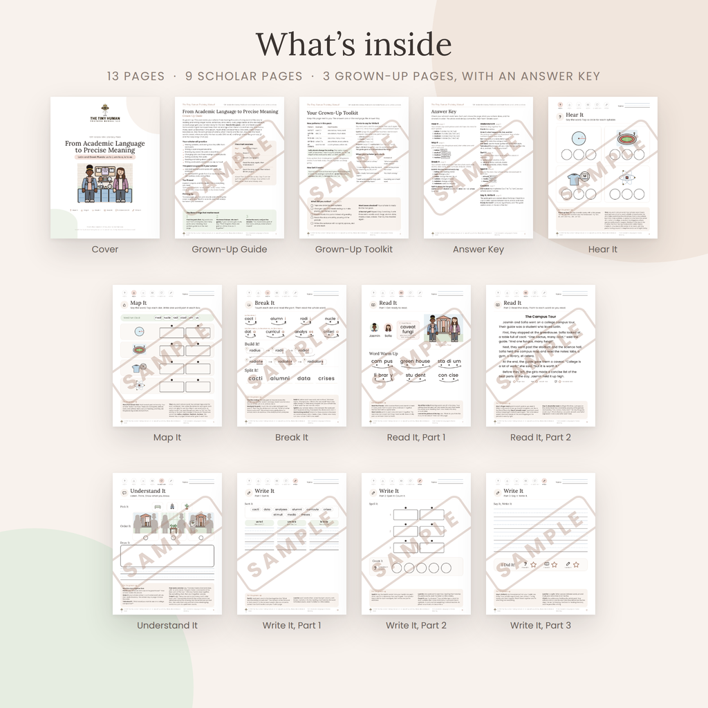 Tenth Grade Mini Literacy Pack: From Academic Language to Precise Meaning (Borrowed Words: Spanish, Arabic, Japanese, Hindi)
