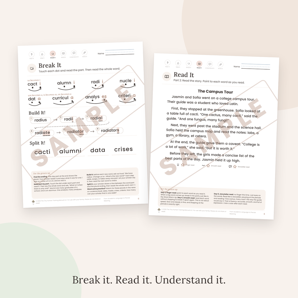 Tenth Grade Mini Literacy Pack: From Academic Language to Precise Meaning (Latin and Greek Plurals: us to i, um to a, is to es)