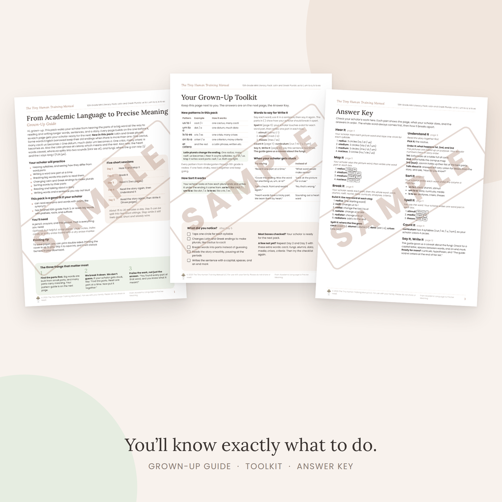 Tenth Grade Mini Literacy Pack: From Academic Language to Precise Meaning (Borrowed Words: Spanish, Arabic, Japanese, Hindi)