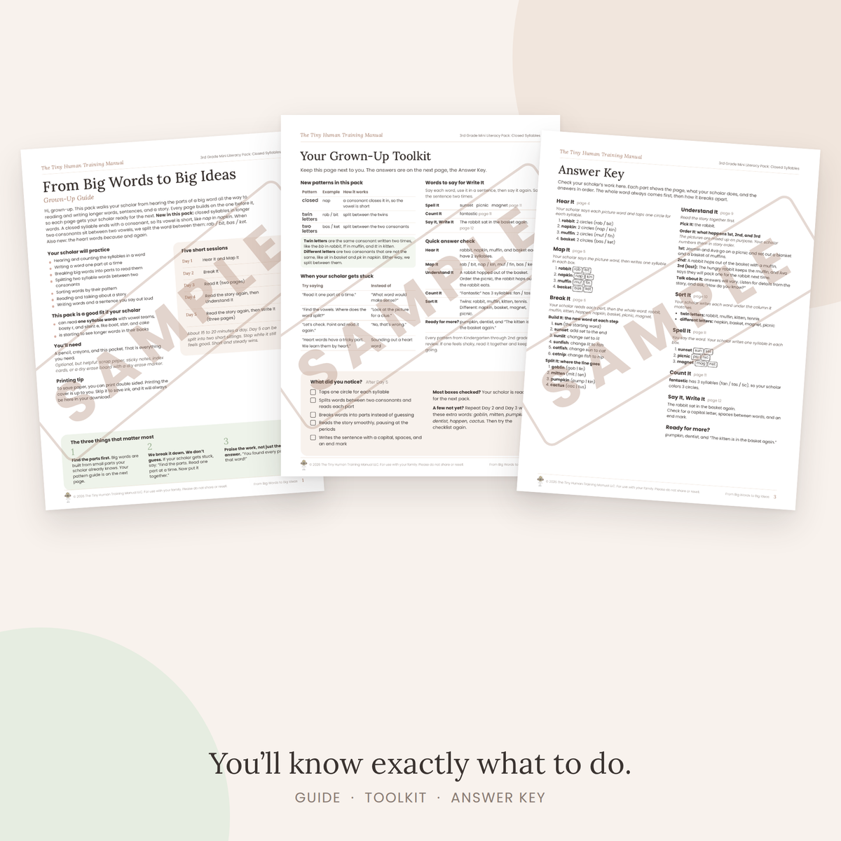 Third Grade Mini Literacy Pack: From Big Words to Big Ideas (Closed Syllables)