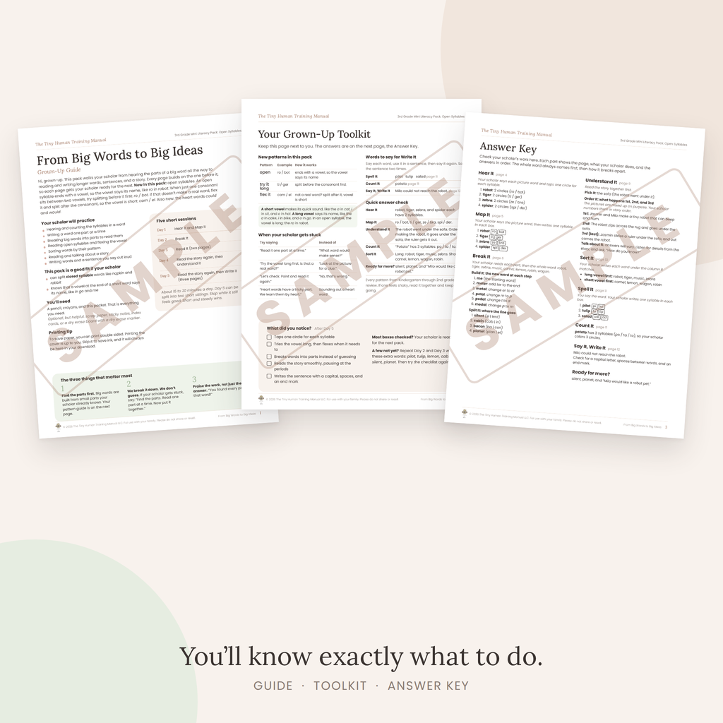 Third Grade Mini Literacy Pack: From Big Words to Big Ideas (Open Syllables)