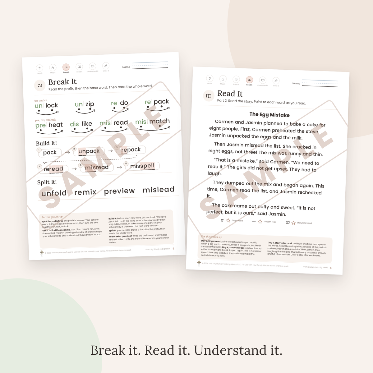 Third Grade Mini Literacy Pack: From Big Words to Big Ideas (Prefixes)