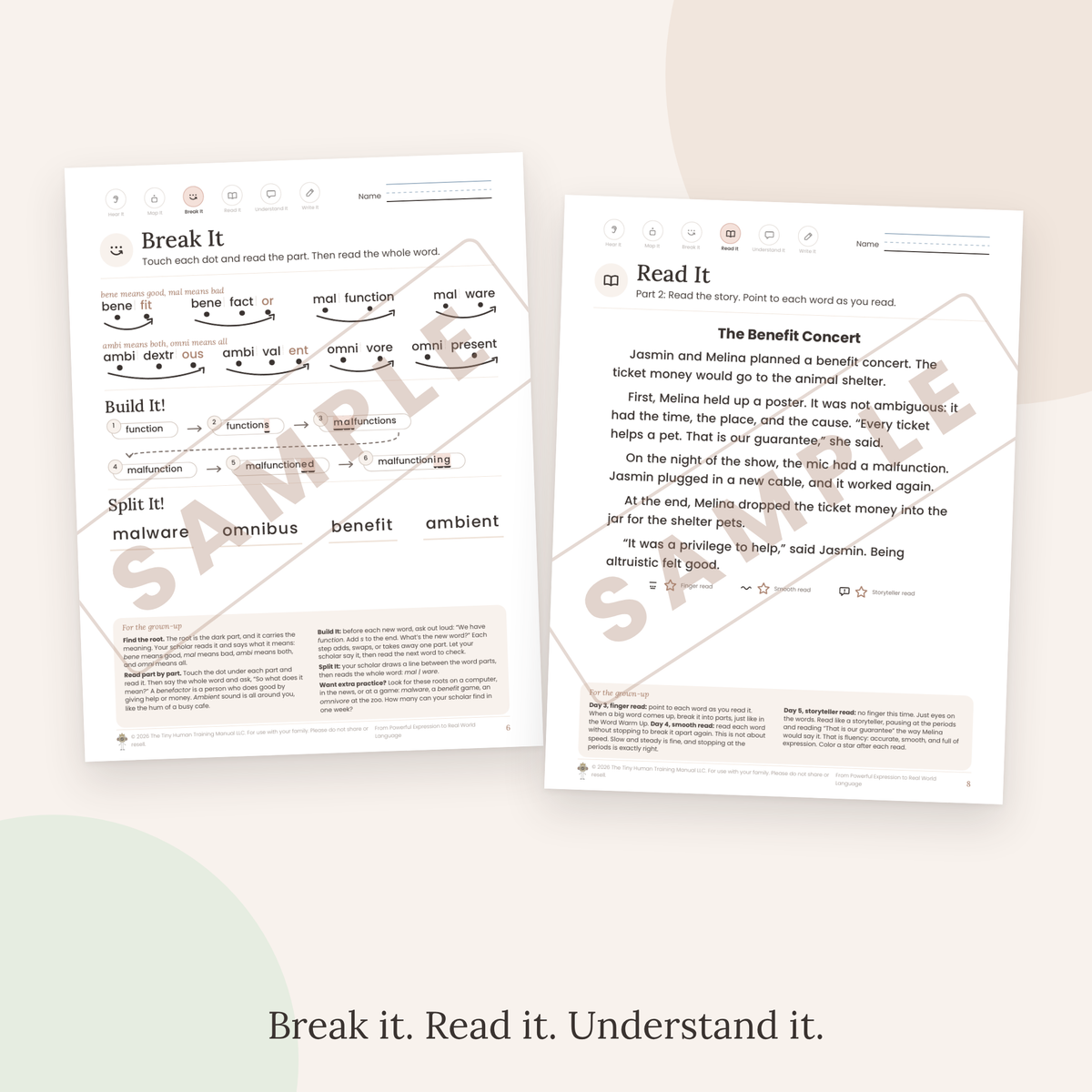 Twelfth Grade Mini Literacy Pack: From Powerful Expression to Real World Language (Latin Roots: bene, mal, ambi, omni)