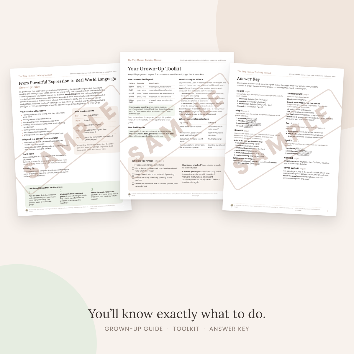 Twelfth Grade Mini Literacy Pack: From Powerful Expression to Real World Language (Latin Roots: bene, mal, ambi, omni)