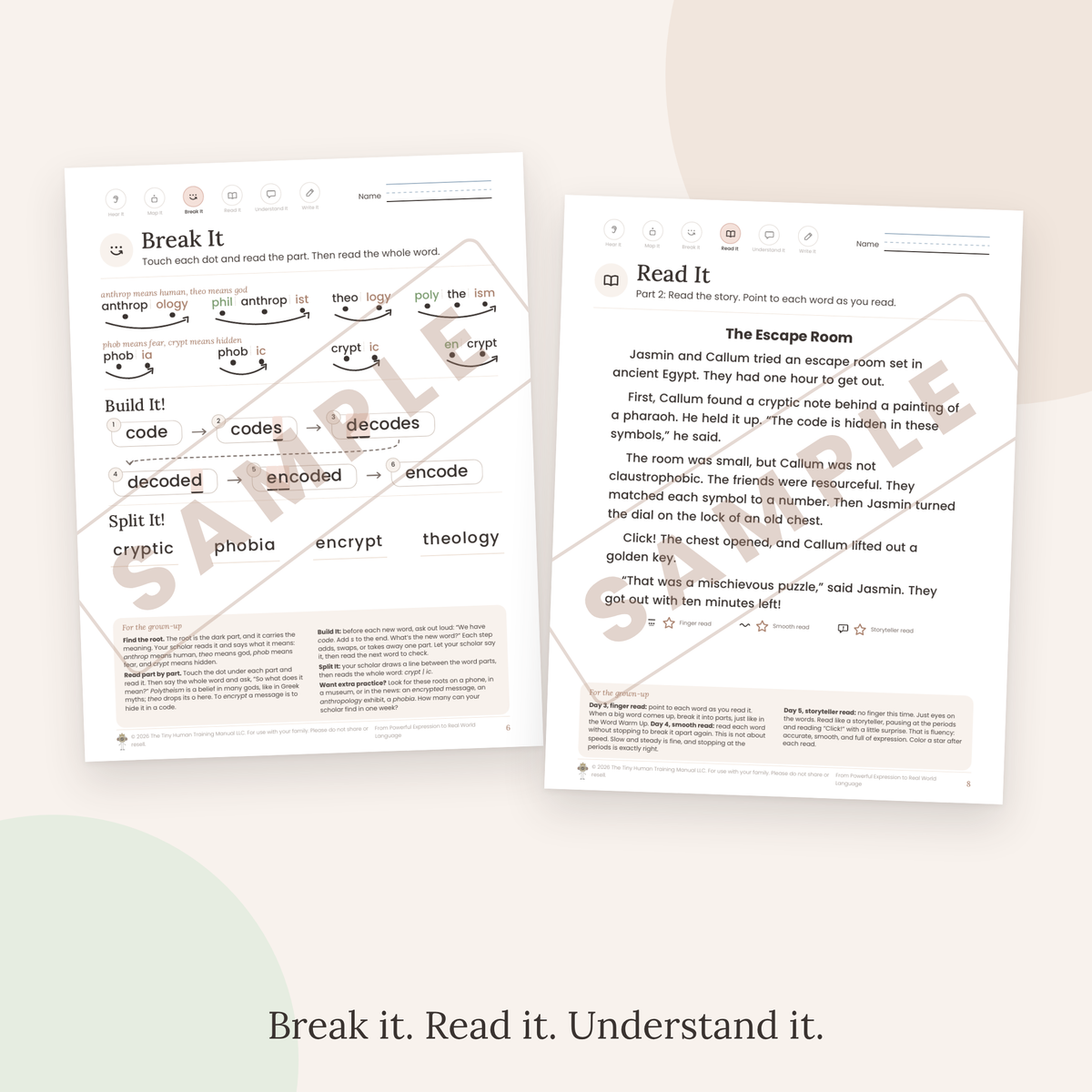 Twelfth Grade Mini Literacy Pack: From Powerful Expression to Real World Language (Greek Roots: anthrop, theo, phob, crypt)