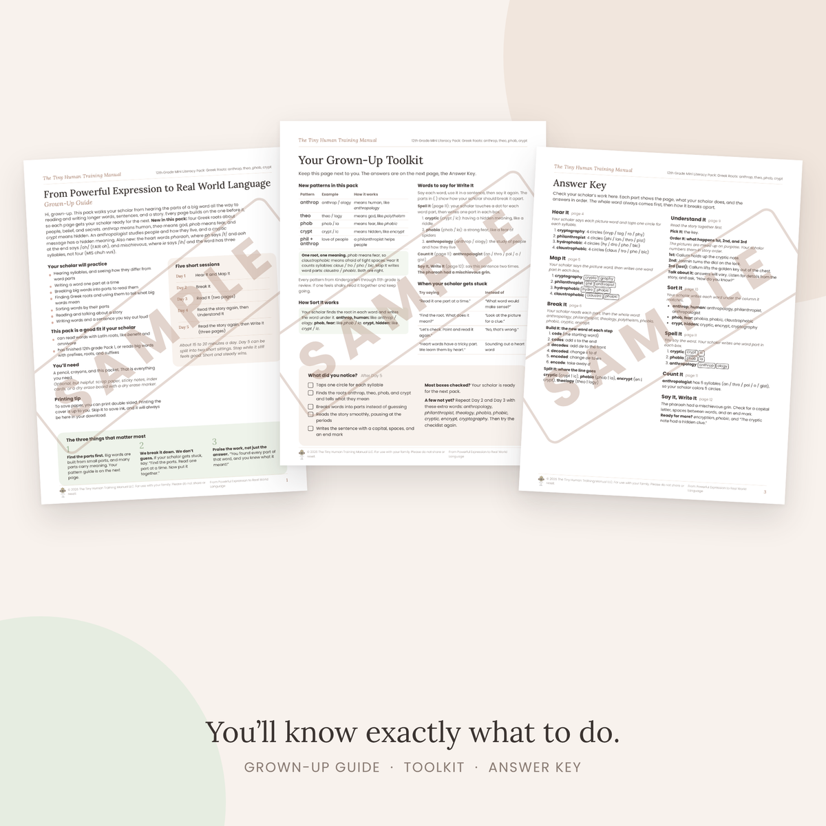 Twelfth Grade Mini Literacy Pack: From Powerful Expression to Real World Language (Greek Roots: anthrop, theo, phob, crypt)