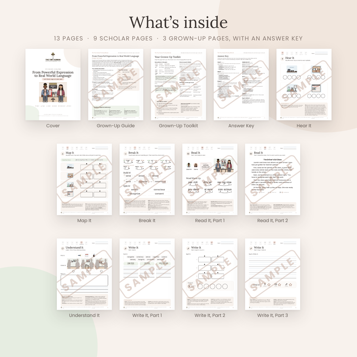 Twelfth Grade Mini Literacy Pack: From Powerful Expression to Real World Language (Latin Roots: cogn, sci, sens, sent)