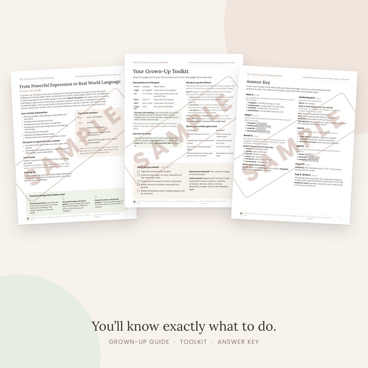 Twelfth Grade Mini Literacy Pack: From Powerful Expression to Real World Language (Latin Roots: cogn, sci, sens, sent)