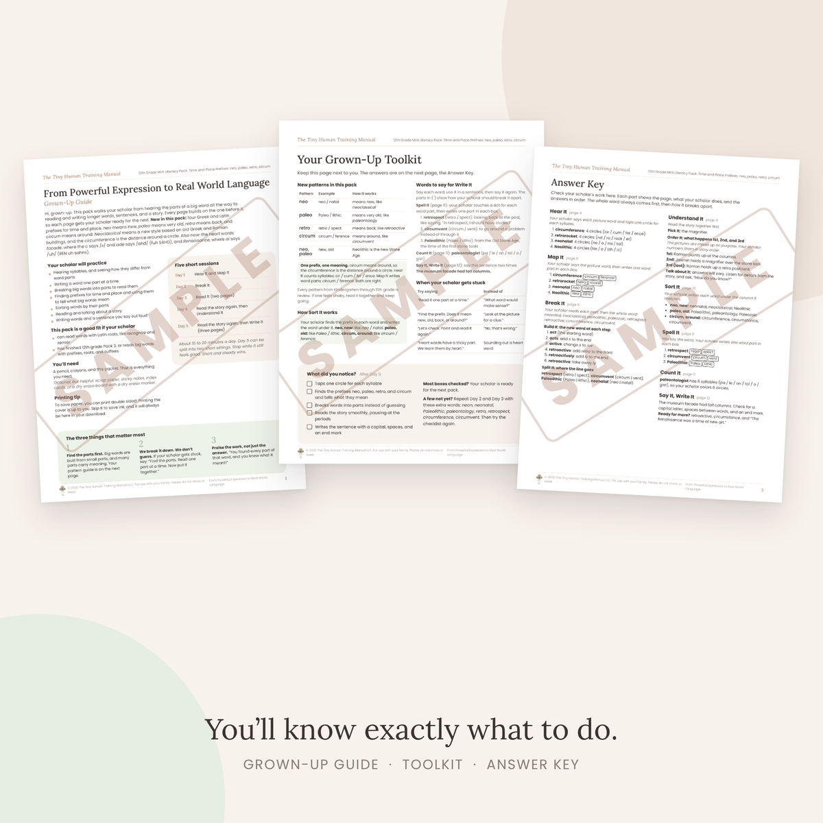 Twelfth Grade Mini Literacy Pack: From Powerful Expression to Real World Language (Time and Place Prefixes: neo, paleo, retro, circum)