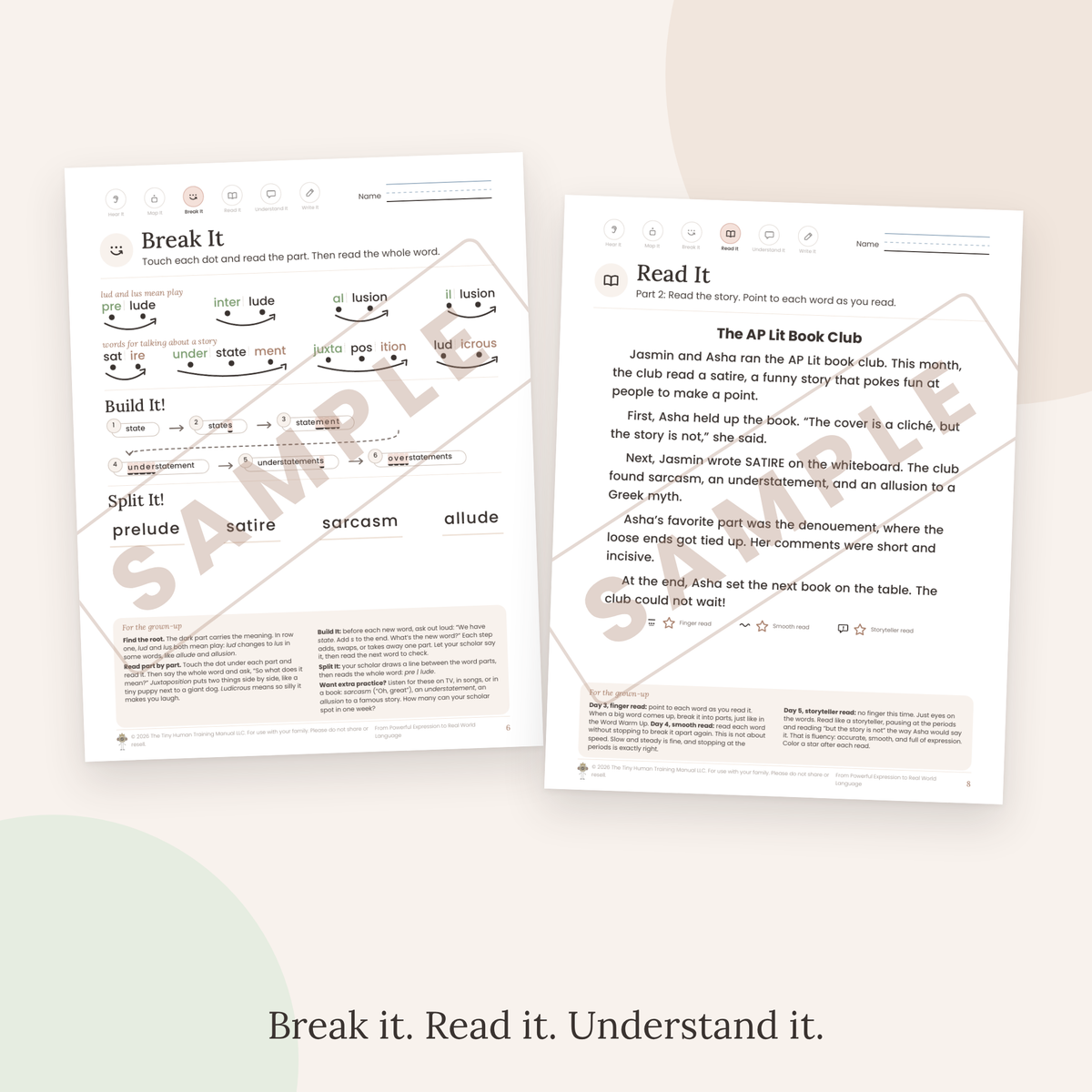 Twelfth Grade Mini Literacy Pack: From Powerful Expression to Real World Language (Words for Literary Analysis, and the Root lud)