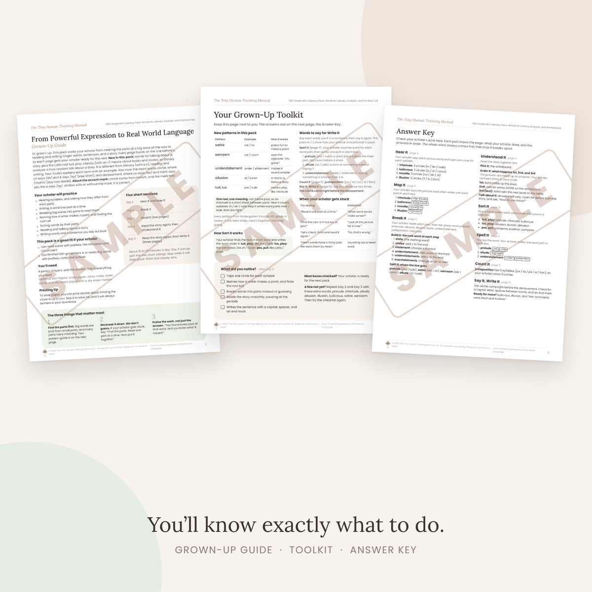 Twelfth Grade Mini Literacy Pack: From Powerful Expression to Real World Language (Words for Literary Analysis, and the Root lud)