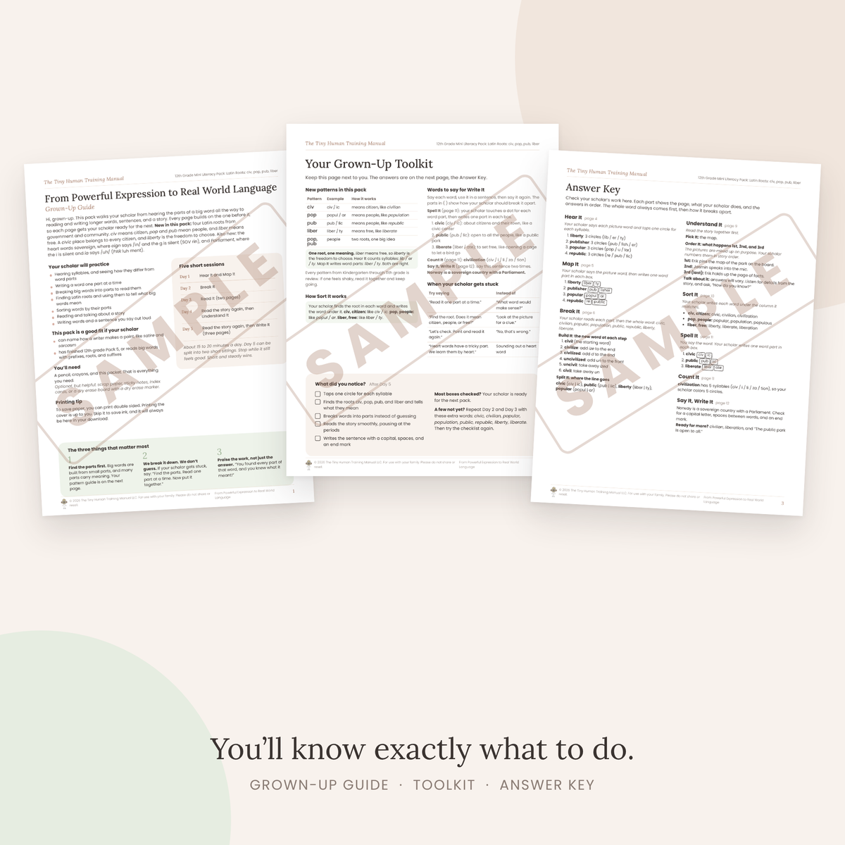 Twelfth Grade Mini Literacy Pack: From Powerful Expression to Real World Language (Latin Roots: civ, pop, pub, liber)