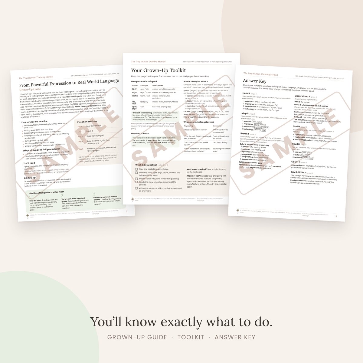 Twelfth Grade Mini Literacy Pack: From Powerful Expression to Real World Language (Roots of Work: oper, ergo, techn, fac)