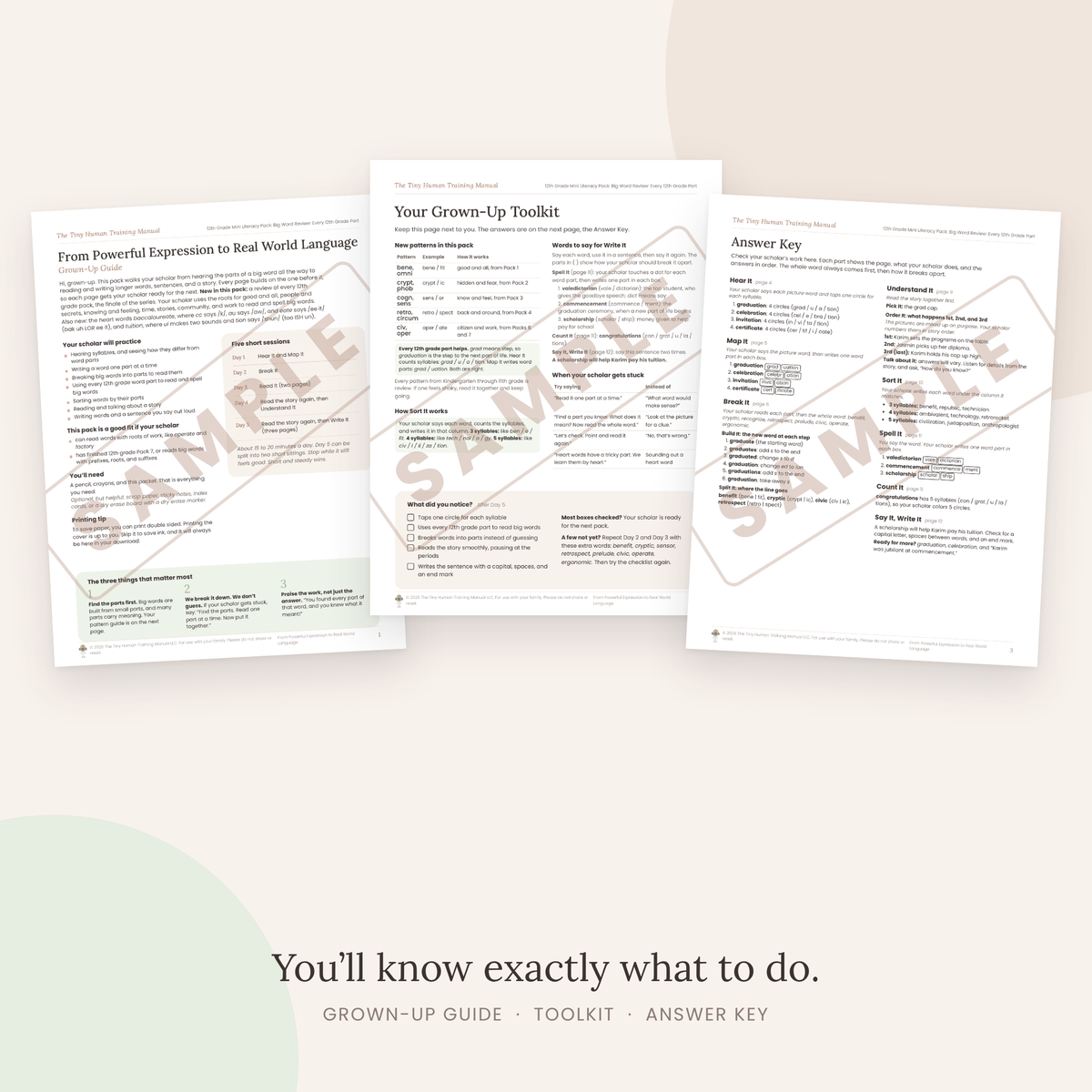 Twelfth Grade Mini Literacy Pack: From Powerful Expression to Real World Language (Big Word Review: Every 12th Grade Part)